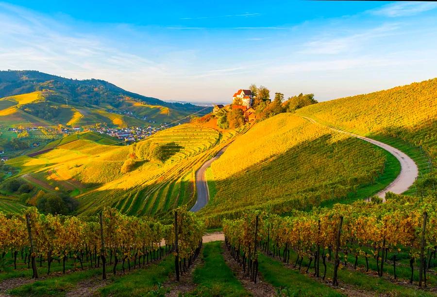 3 fantastic road trip ideas for Germany