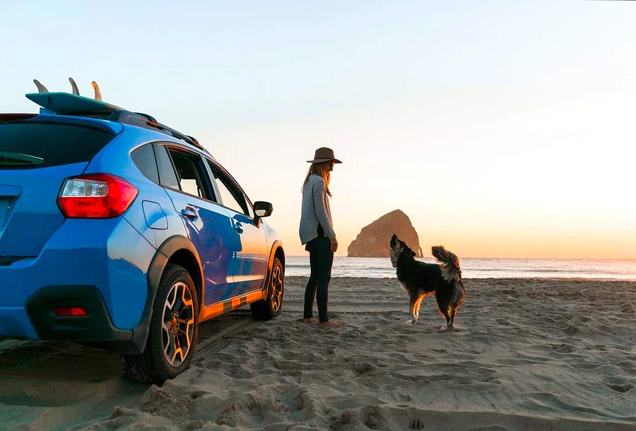 How to enjoy a fun and safe road trip with your dog