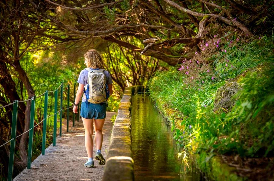 An Introductory Guide to the Enchanting Island of Madeira