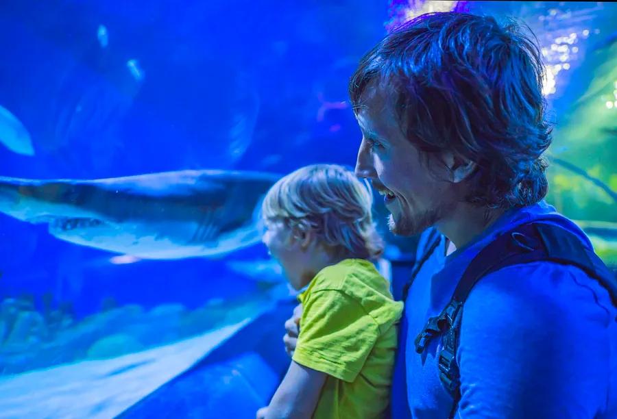 Top 5 Aquariums in the US to Explore on Your Next Journey