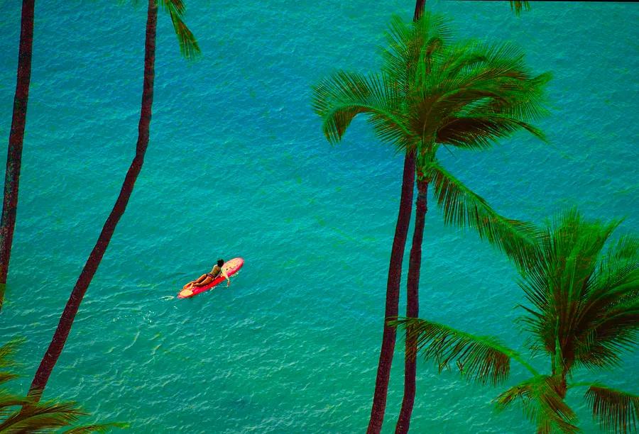Find out the ideal times to visit Hawaii