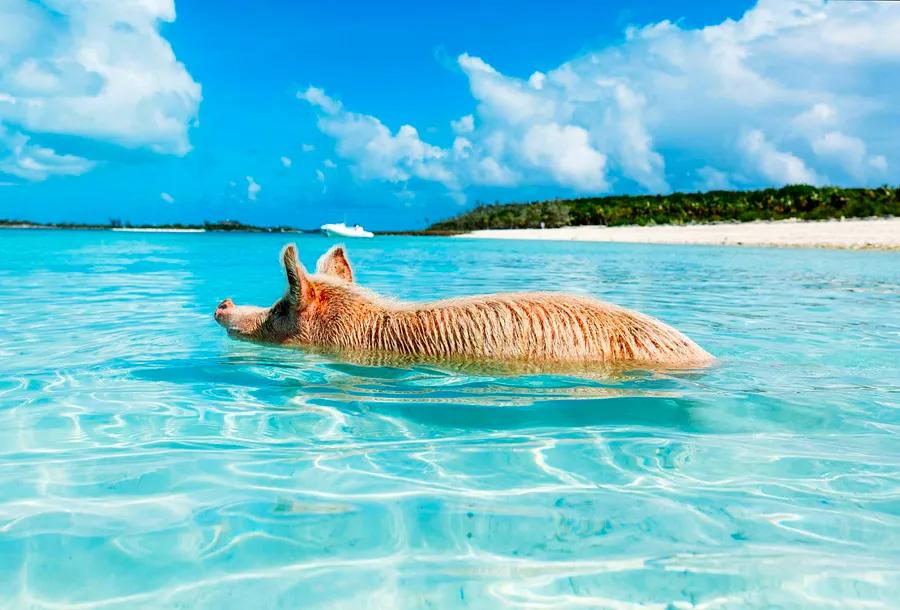 Top 12 Places to Visit in May