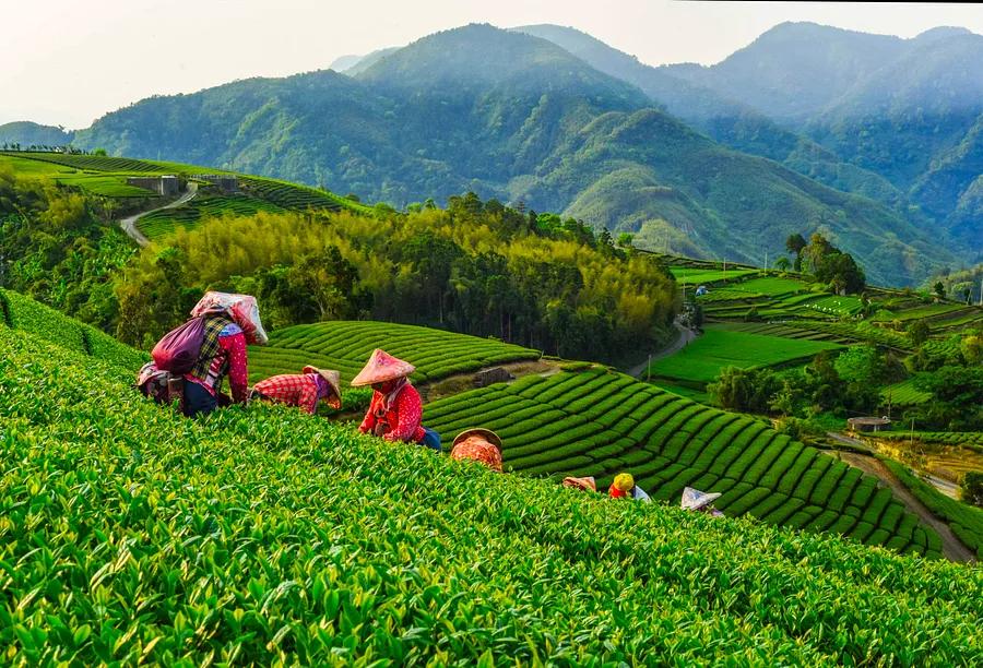 Top 12 Places to Explore in June