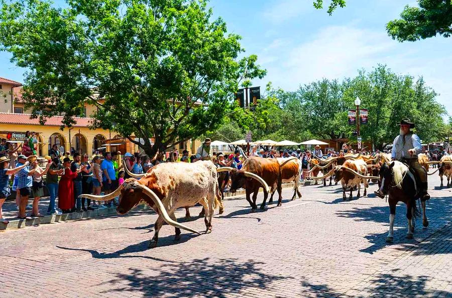 Fort Worth Offers More Than Just Cowboys — Featuring Impressive Modern Art, Trendy Hotels, and a Thriving Vegan Dining Scene.
