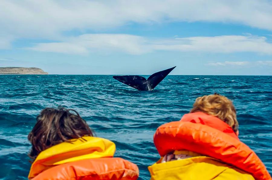 Top Family Activities in Alaska