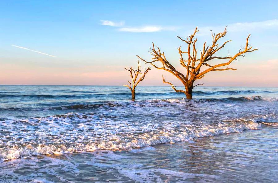 How to Craft the Ideal Getaway to Edisto Island, South Carolina