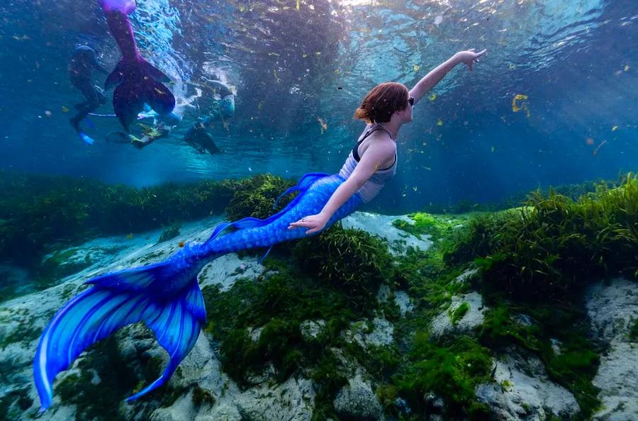 Explore the world of mermaiding in Florida… discover how to swim with fish and embrace your own Little Mermaid fantasy.