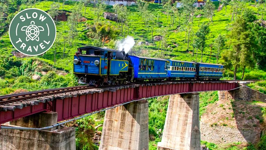 Discovering India’s Western Ghats: trains, tea, and remarkable wildlife encounters