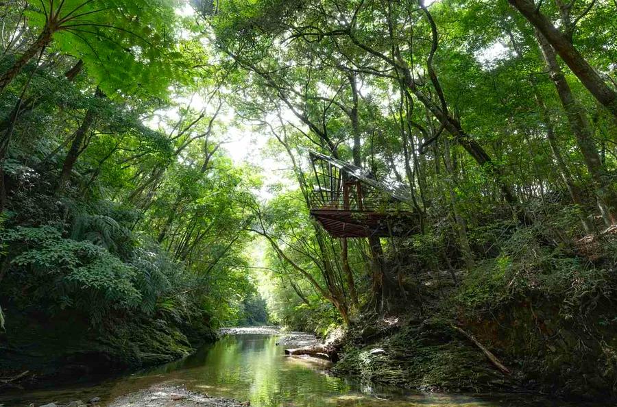 This Tree House Resort in Japan Features 360-Degree Jungle Views — Plus a Slide from the Sauna into the Genka River