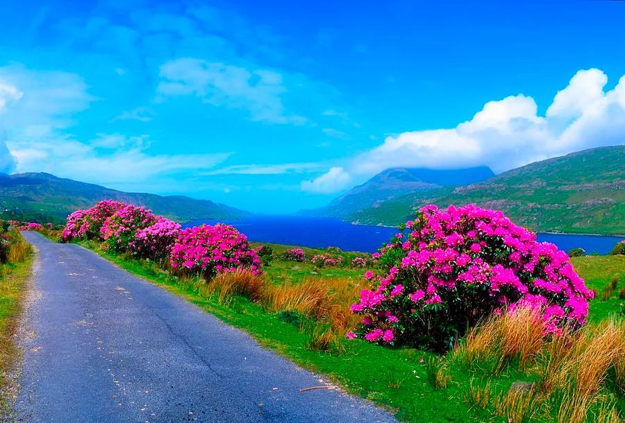 Discover the top destinations to explore in Ireland