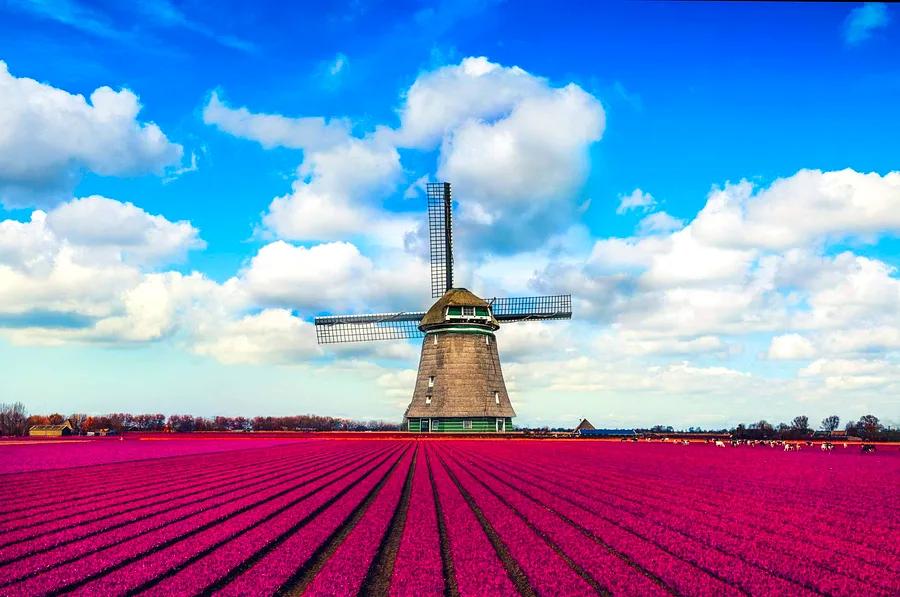 Your ultimate guide to day trips from Amsterdam