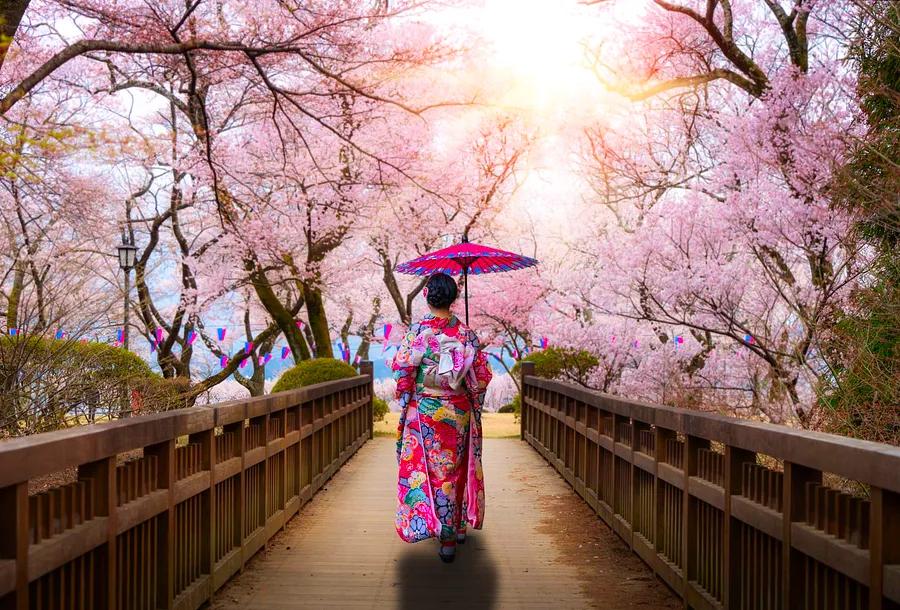 The Top 15 Destinations to Explore in Japan