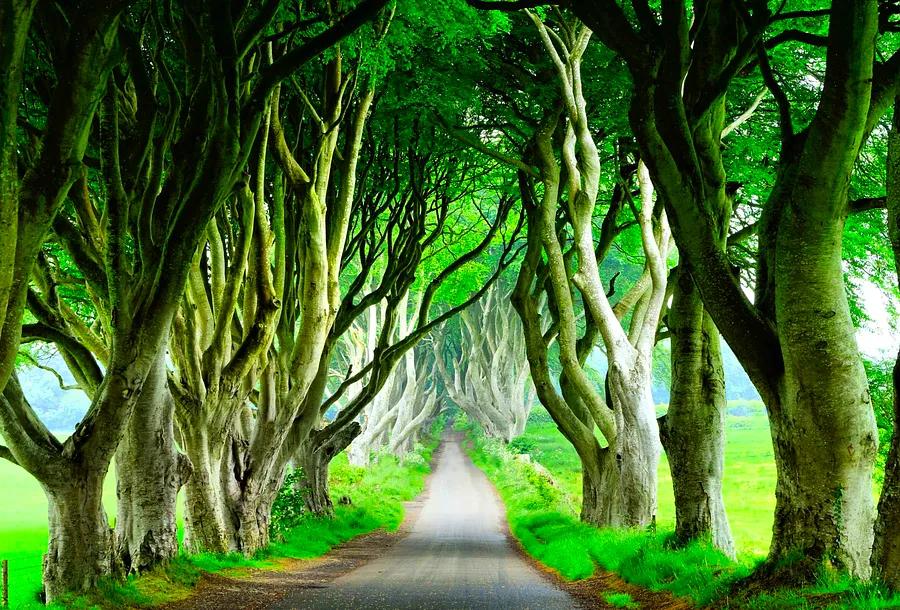 A Traveler's Guide to Westeros: 9 Game of Thrones locations you can actually visit