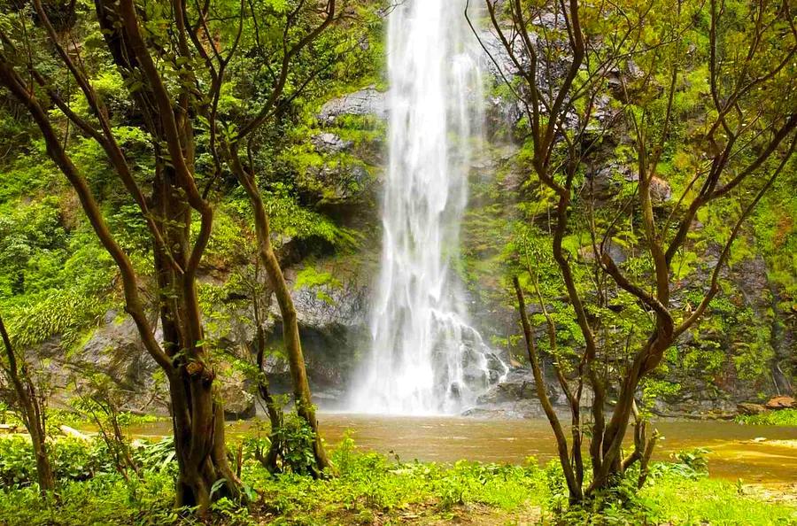 An Enlightening Journey to the Tallest Waterfall in West Africa