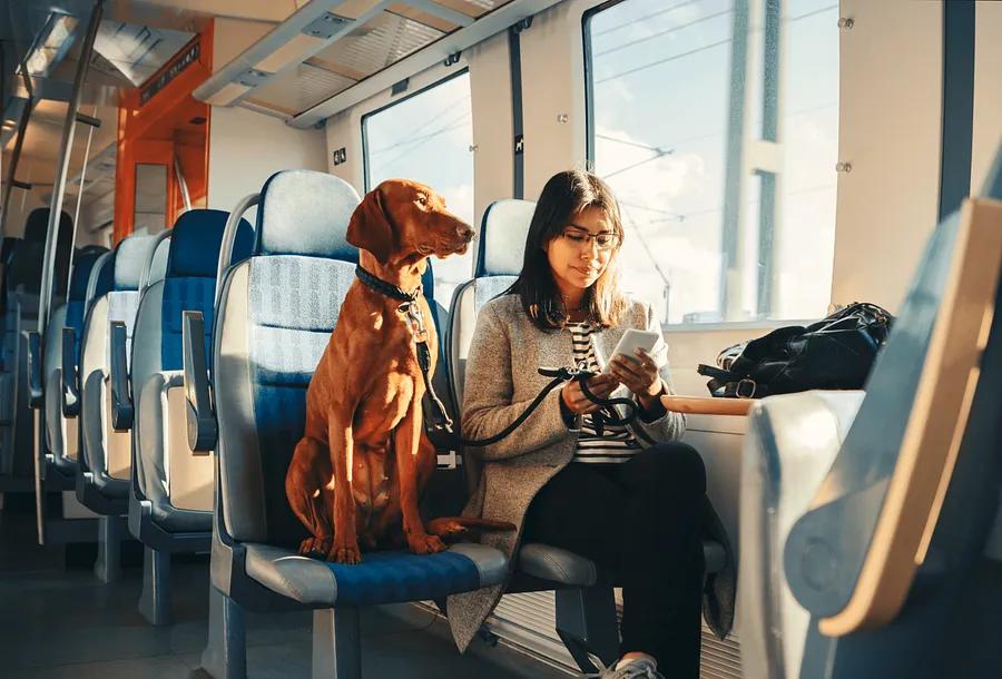 Key Considerations for Traveling with Pets on Trains