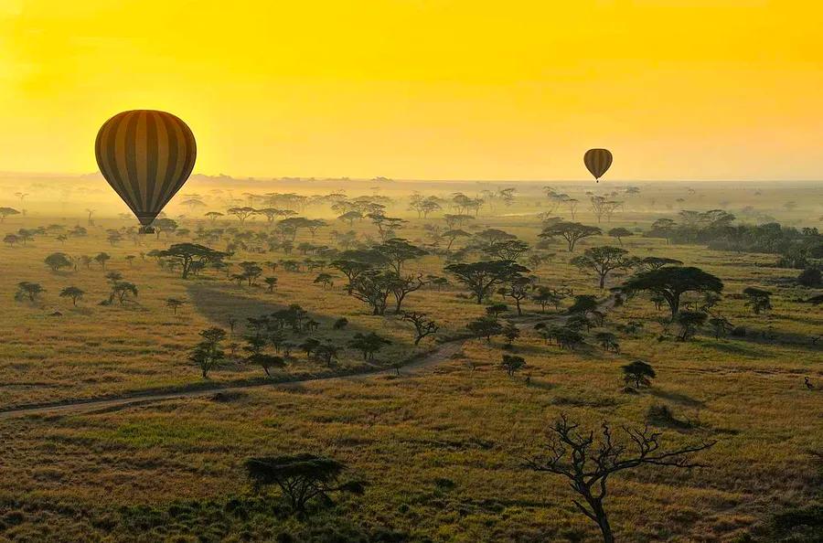 10 Amazing National Parks in Africa — From Expansive Deserts to Lush Rainforests and Majestic Mountains