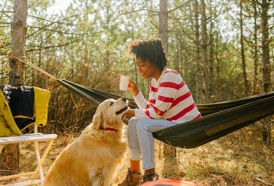 How to Enjoy a Fantastic Camping Experience with Your Canine