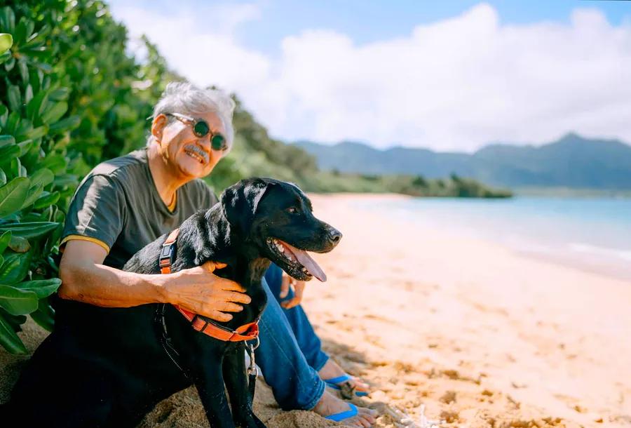 How to enjoy a beach getaway with your furry friend