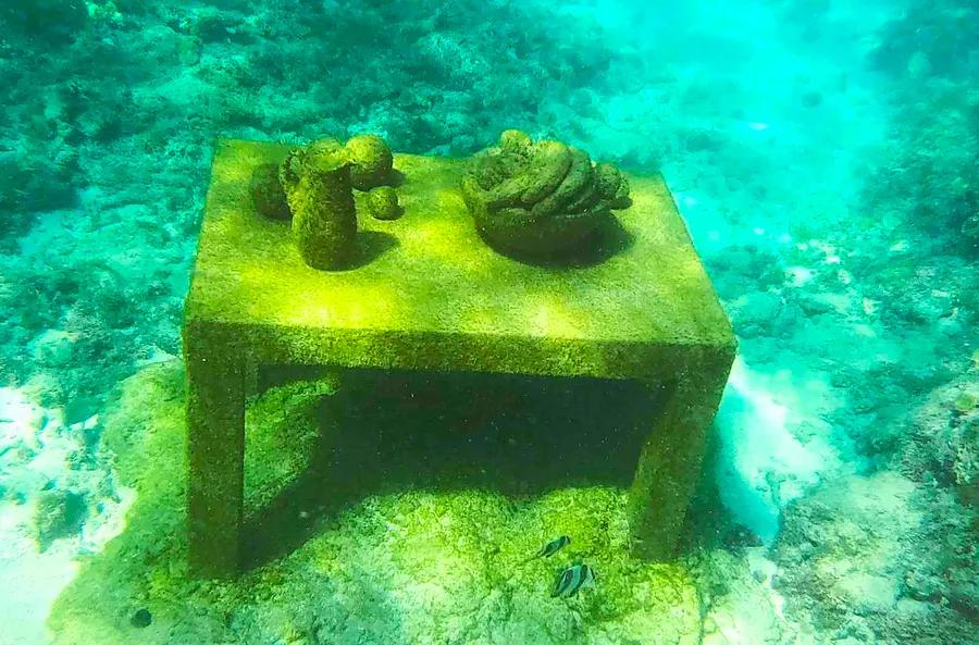 Grenada's Underwater Sculpture Garden: A Narrative Beyond Just a Snapshot