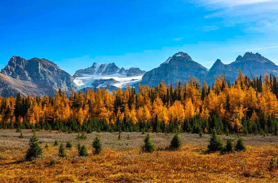 This 19-Day Train Adventure Showcases Some of Canada’s Most Breathtaking Autumn Scenery