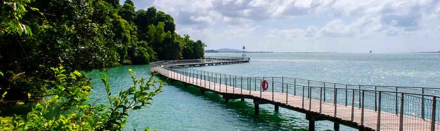 Top 7 Pulau Ubin Hotels for a Relaxing Escape