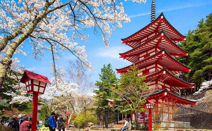 The Best, Worst, and Most Budget-Friendly Times to Visit Japan