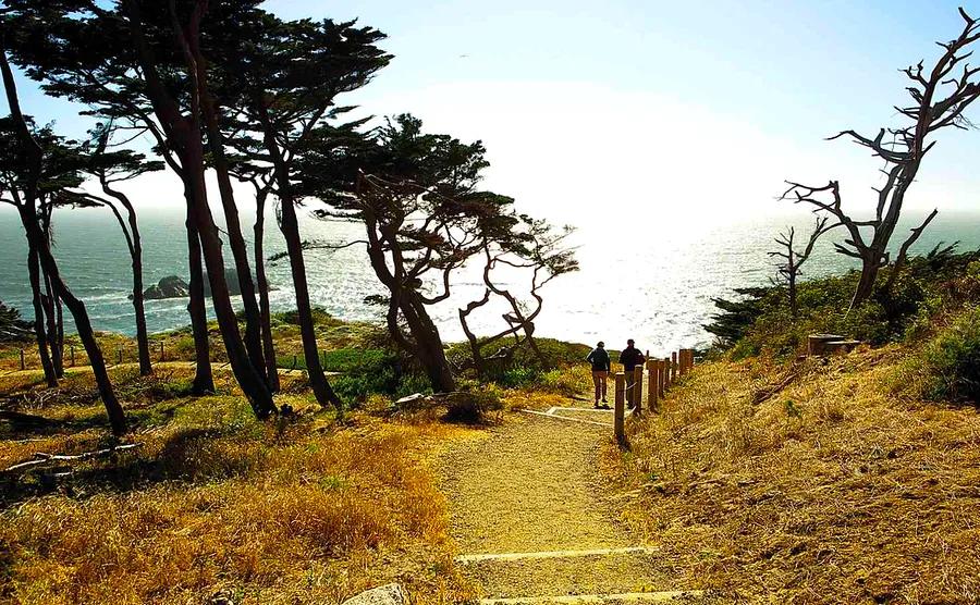 12 Top Hikes in the San Francisco Bay Area for Every Skill Level