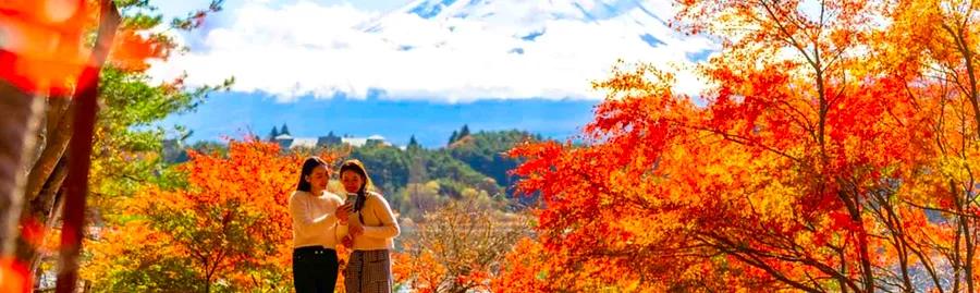 Optimal Season for Exploring Japan's Autumn in 2025