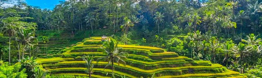 Bali Travel Guide – Traveling from Kuta to Ubud