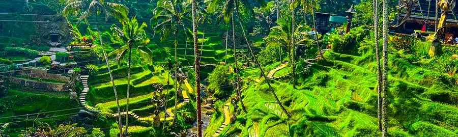 Bali Travel Guide – Navigating from Seminyak to Ubud