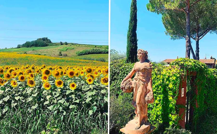 Visit Andrea Bocelli's Family Vineyard in Tuscany — and even record your own song in his studio.