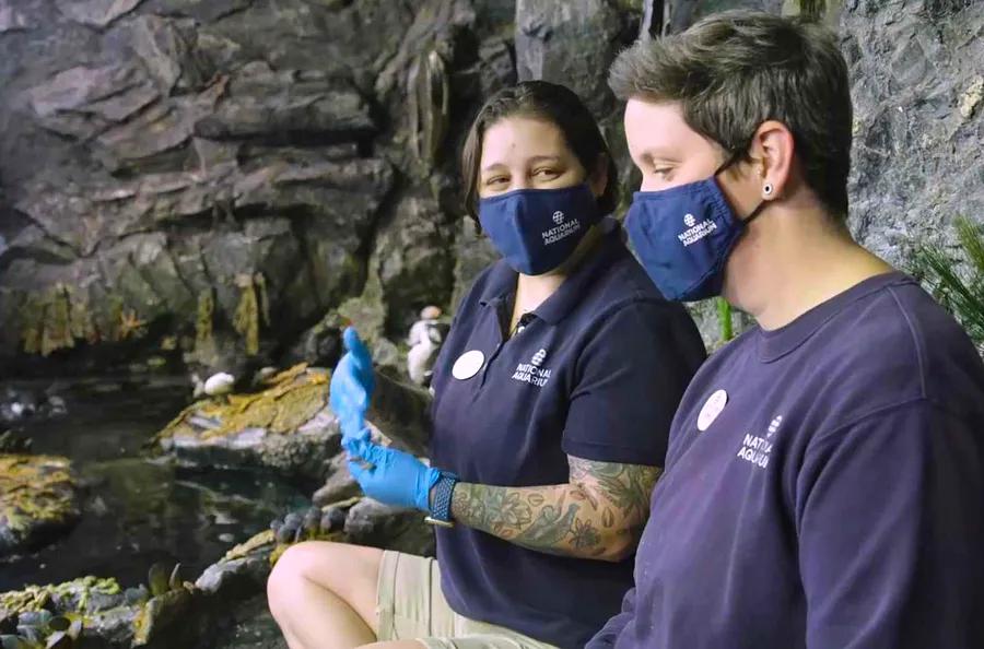 Baltimore Hosts the National Aquarium — Get an Insider's Look with 'Walk With T+L'