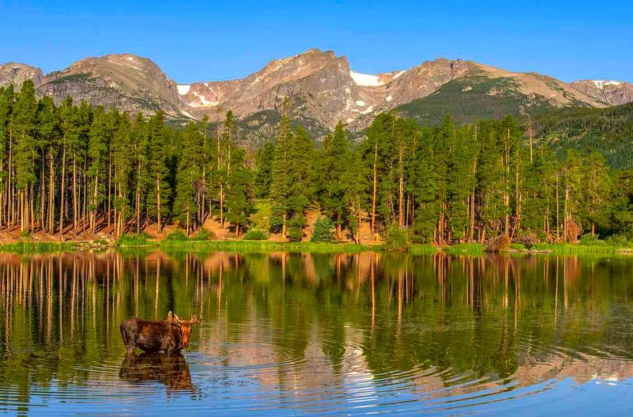 This National Park Is Renowned for Its Altitude — Featuring Breathtaking Hikes, Diverse Wildlife, and More