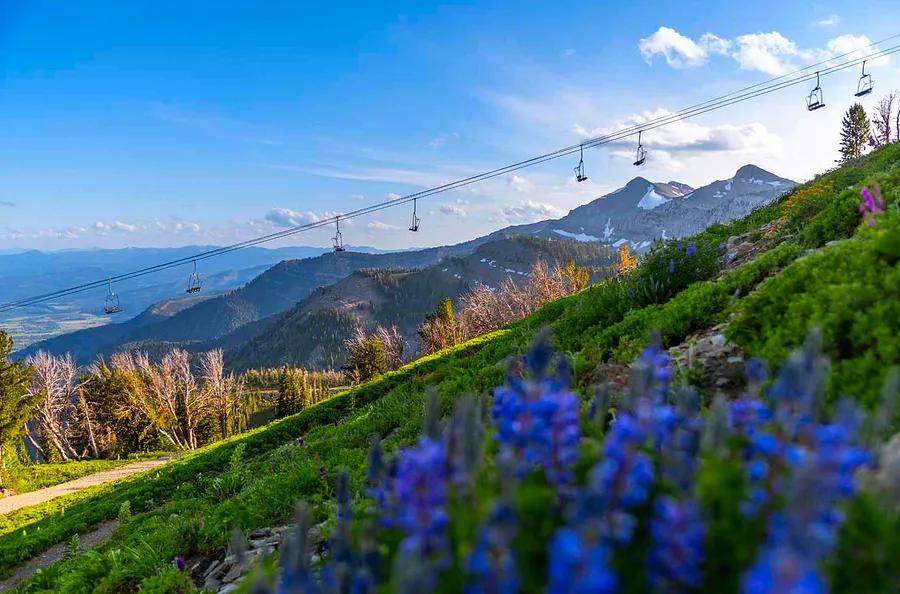 10 U.S. Ski Resorts That Are Just as Amazing in Summer