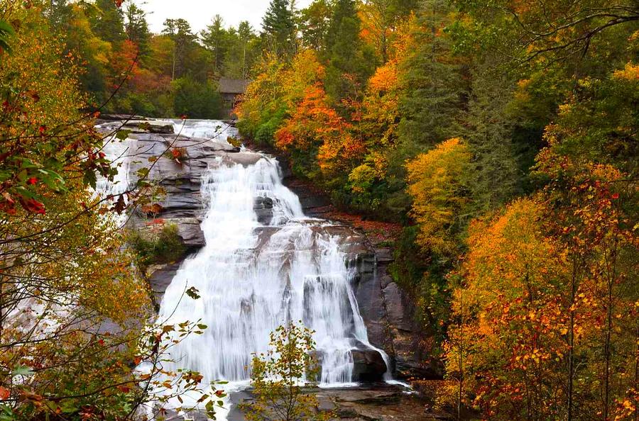 Top 10 Spots for Viewing Fall Colors in North Carolina