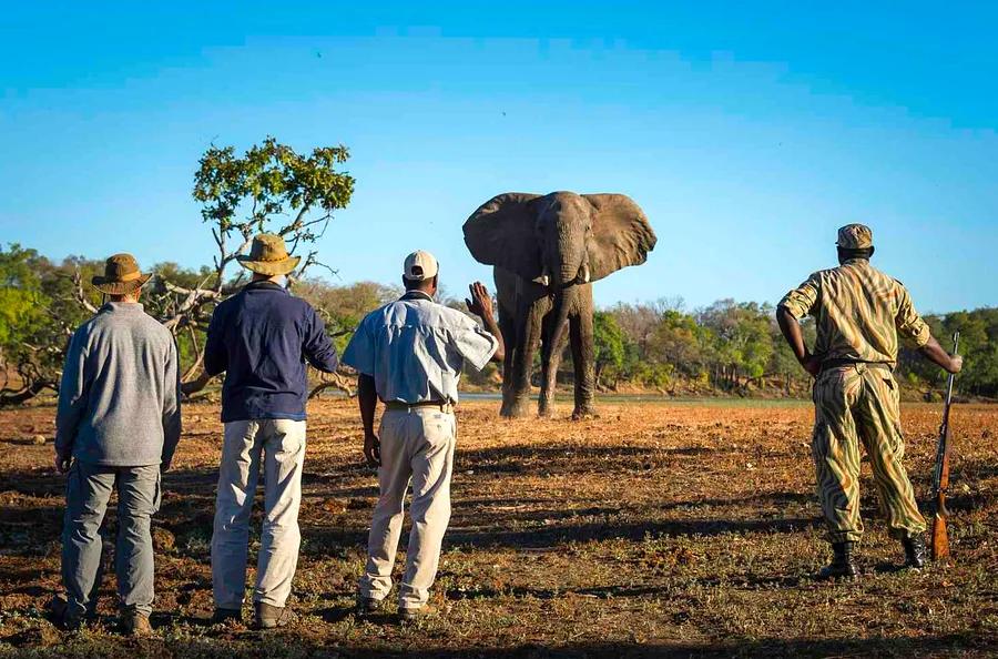 8 Extraordinary Walking Safaris Worldwide for Thrill-Seekers