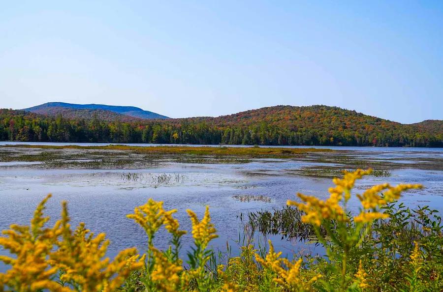 This Hidden Lake Ranks Among the Best Spots for Fall Foliage in the Adirondacks