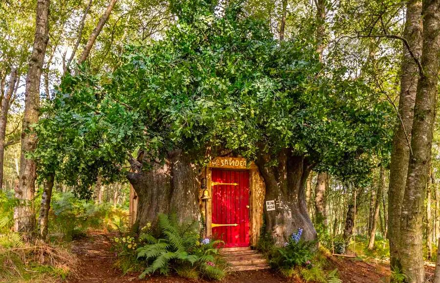 This enchanting Airbnb inspired by Winnie-the-Pooh in England is just as charming as you would expect.