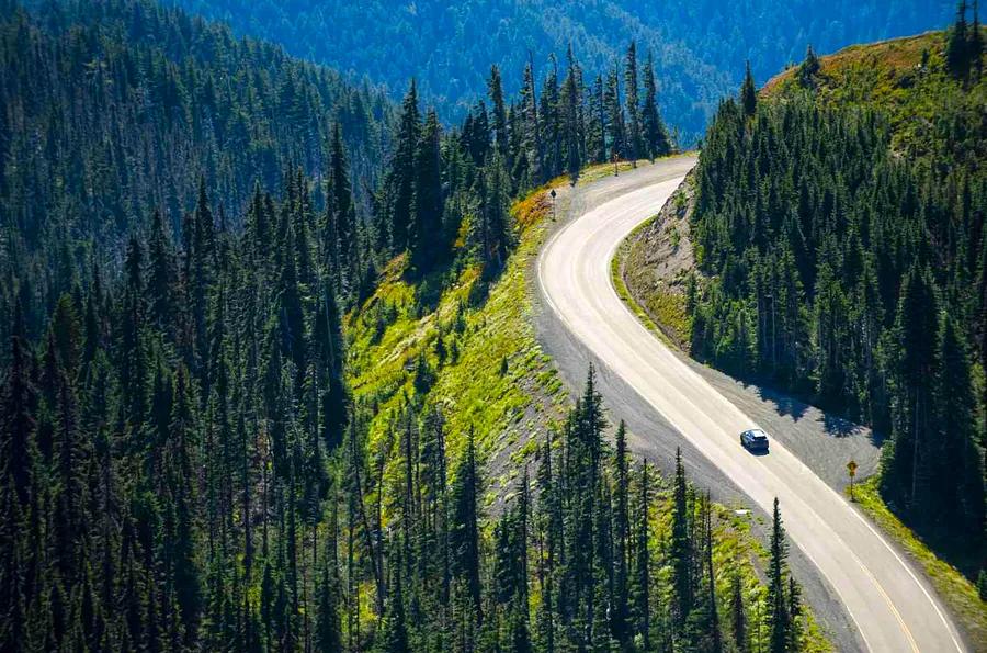 Top Road Trip Apps to Help You Save on Gas, Avoid Traffic, and More