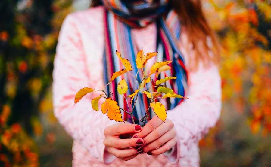 75 Top Fall Instagram Captions for Leaf Peeping, Apple Picking, and More