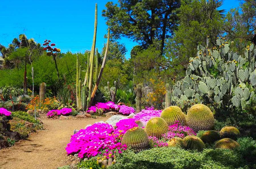 This Charming California Garden Was Declared the Most Stunning in the World