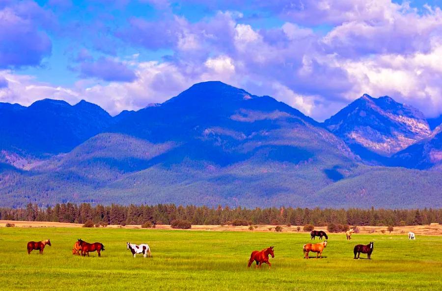 This Charming Montana Town Caters to Adventure Seekers Who Appreciate Luxury — Featuring Upscale Accommodations, Stylish Speakeasies, and Abundant Outdoor Activities