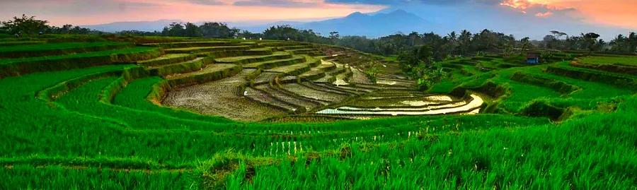 Transportation Options in Magelang, Indonesia