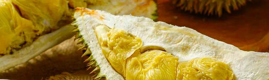 Event: Penang Durian Festival, Penang, Malaysia