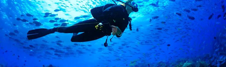 An Adventure Through Water Sports in Sydney