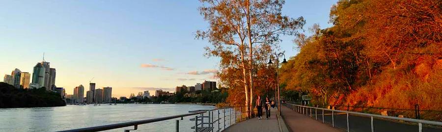 Top 5 Parks in Brisbane for Your Leisure Time!