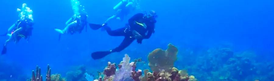 Scuba Diving Adventures at Mahogany Bay on Isla Roatan