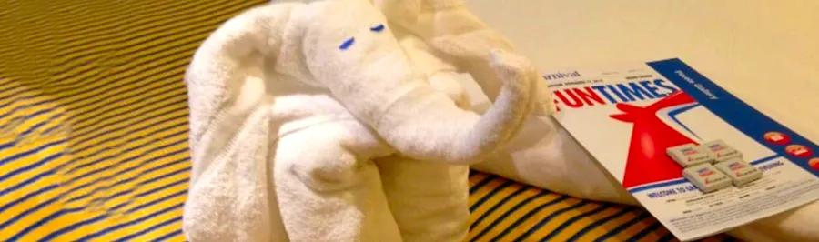 Creating Towel Animals and Wonderful Family Memories