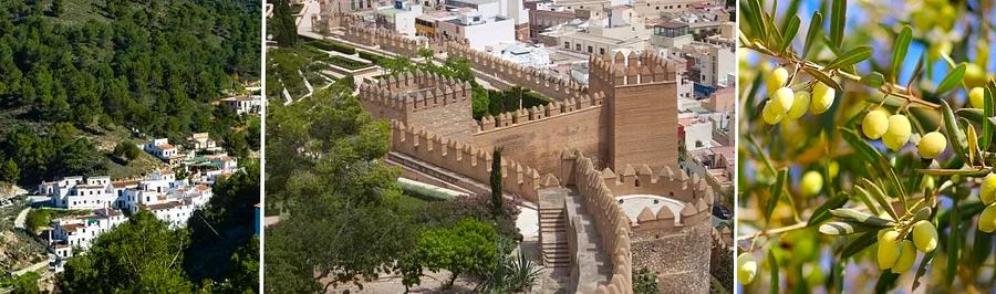 Top 9 Activities to Experience in Màlaga