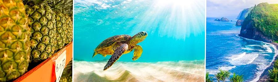 Top 10 Activities to Experience in Maui